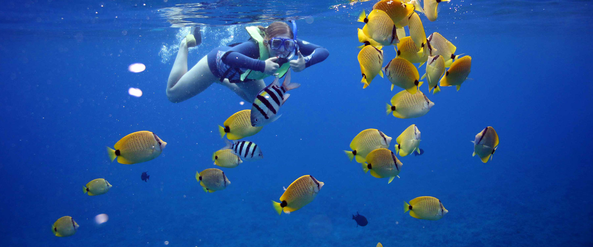 Relax and Enjoy the Ocean